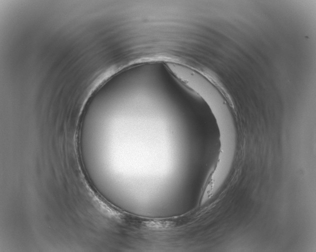 X0000078030805200611251554