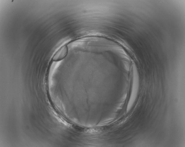 X0000078030806200611251554