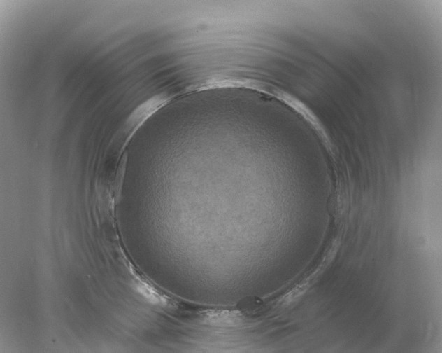 X0000078030809200611251554