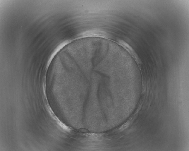 X0000078030812200611251554