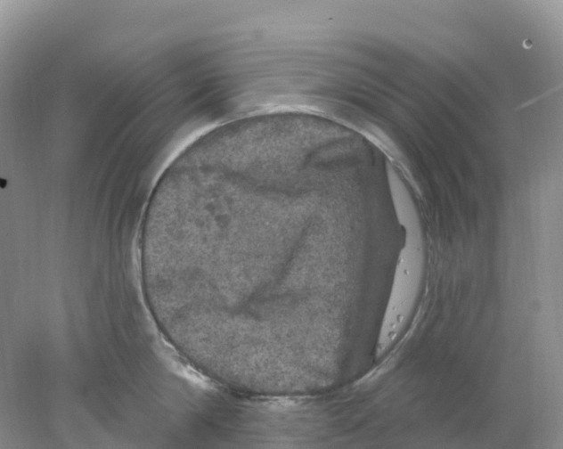 X0000078030814200611251554