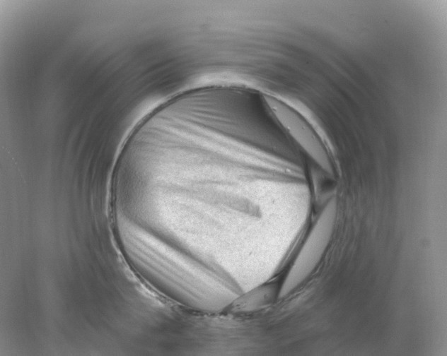 X0000078030815200611251554