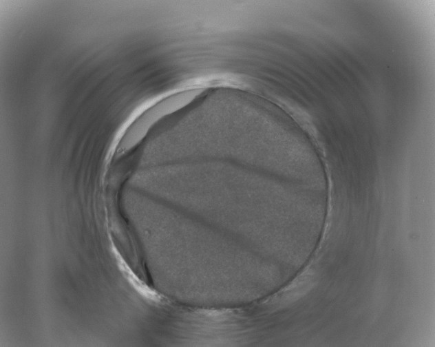 X0000078030816200611251554