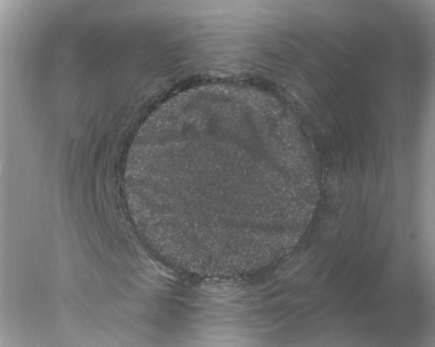 X0000078030817200611251553