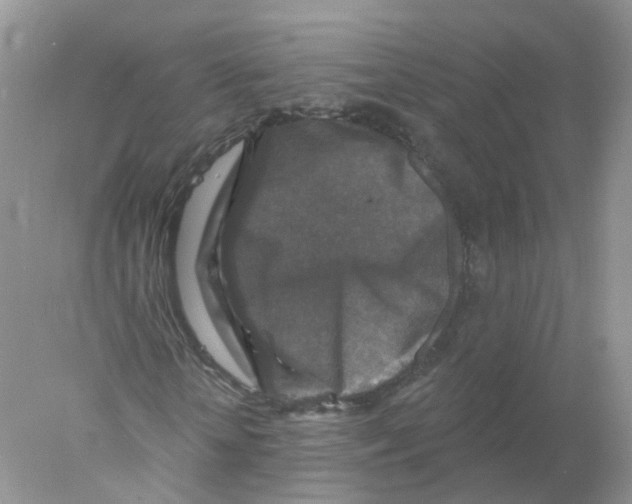 X0000078030818200611251553