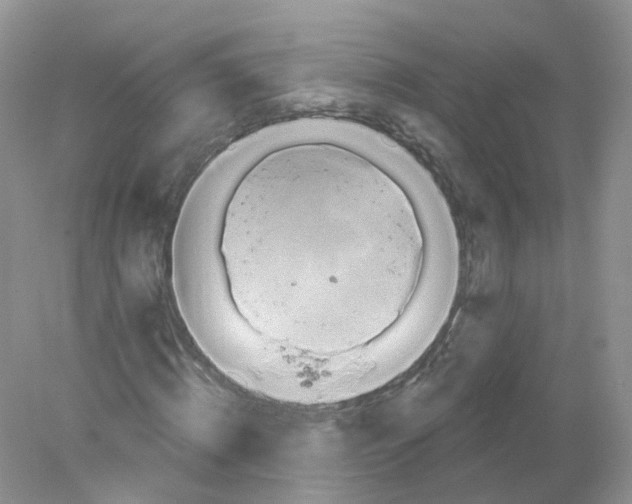 X0000078030820200611251553