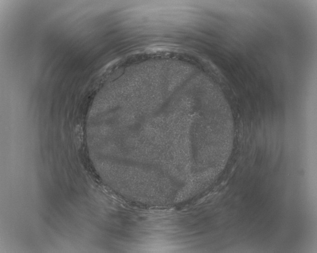 X0000078030821200611251553