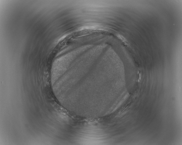 X0000078030822200611251553