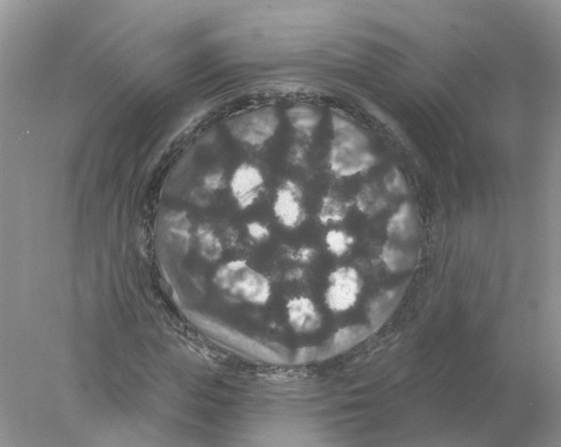 X0000078030823200611251553