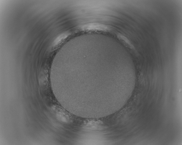 X0000078030824200611251553