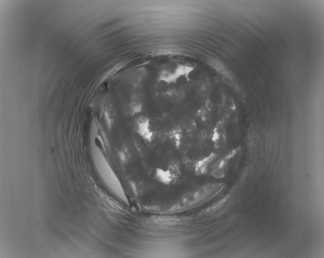 X0000078030825200611251553