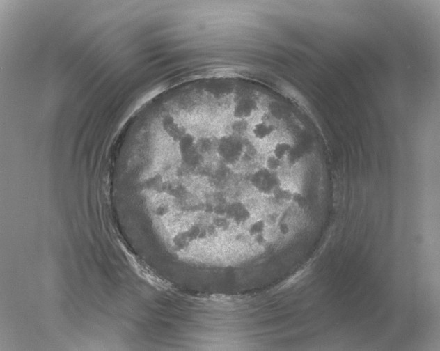 X0000078030827200611251553