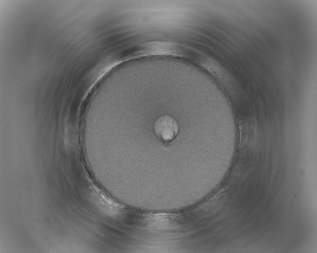 X0000078030828200611251553