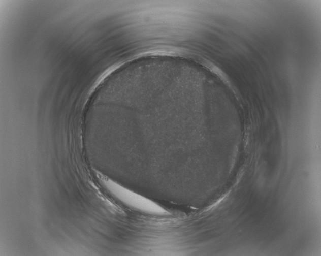 X0000078030829200611251553