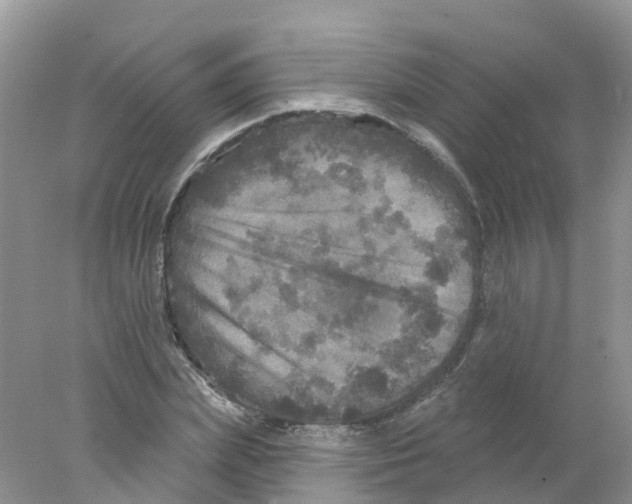 X0000078030831200611251553