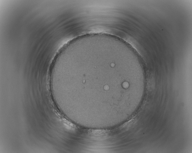 X0000078030832200611251553