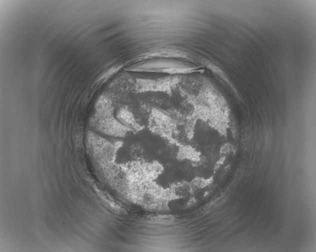 X0000078030833200611251553