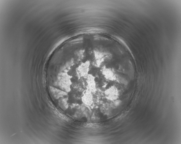 X0000078030835200611251553