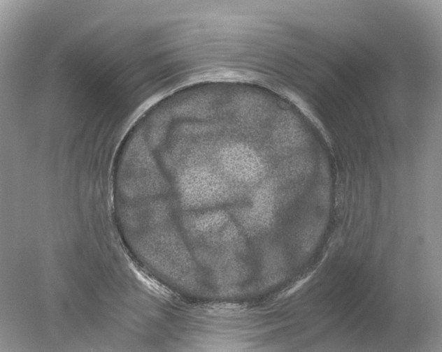 X0000078030837200611251553