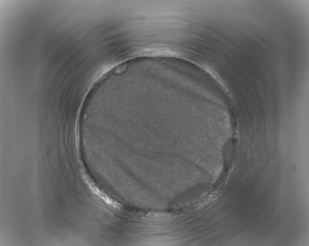 X0000078030840200611251553