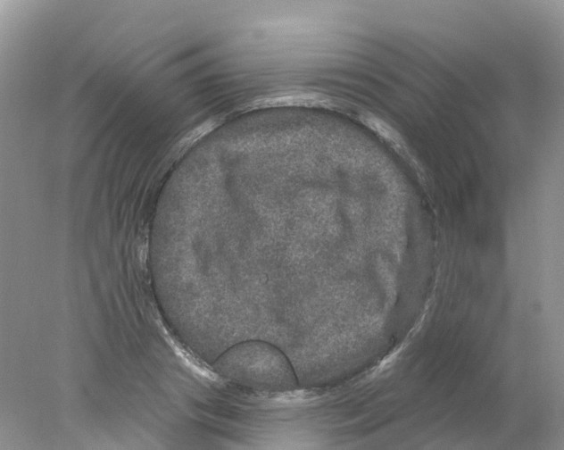 X0000078030841200611251553