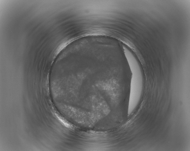 X0000078030842200611251553