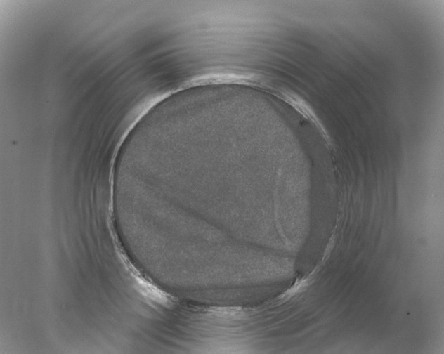 X0000078030844200611251553