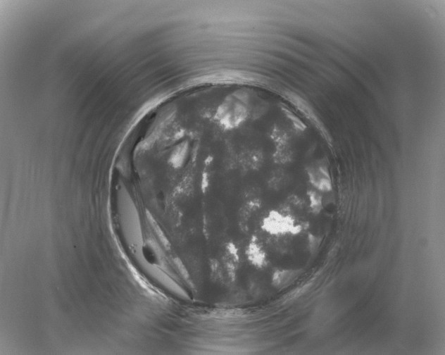 X0000078030845200611251553