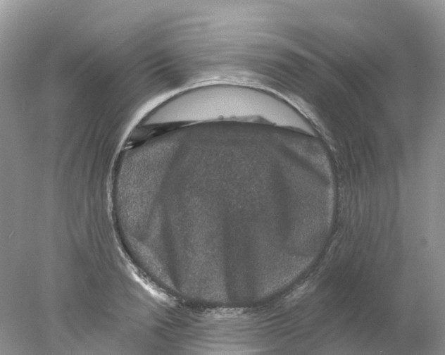 X0000078030846200611251553