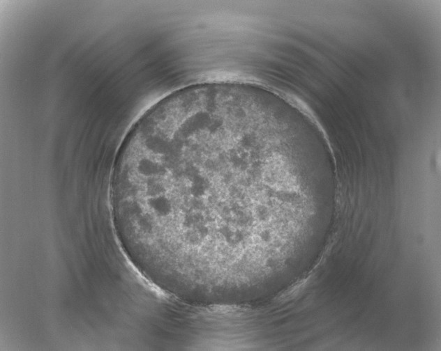 X0000078030847200611251553