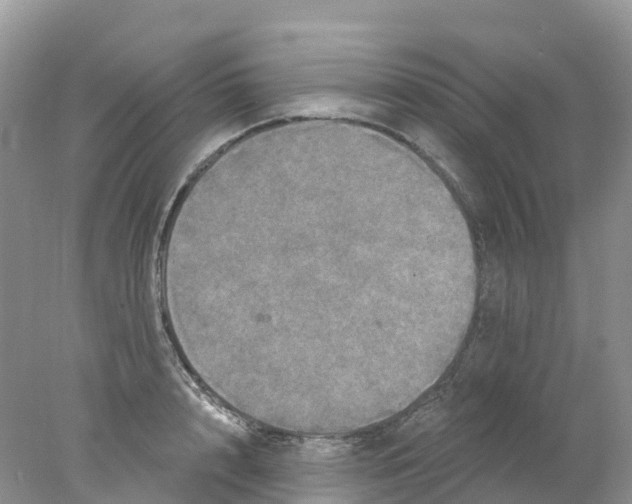 X0000078030848200611251553