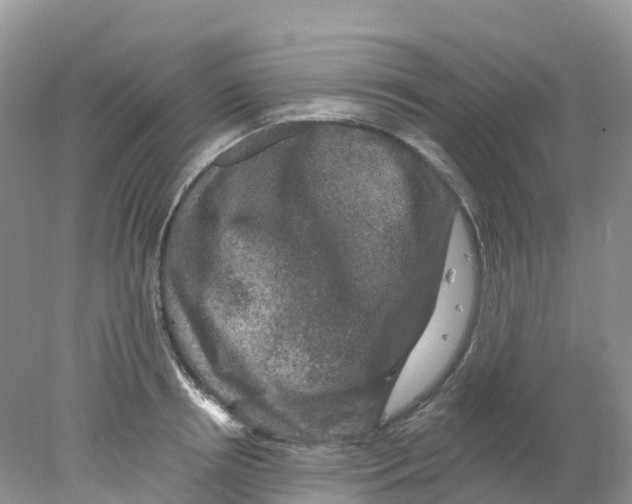 X0000078030850200611251553