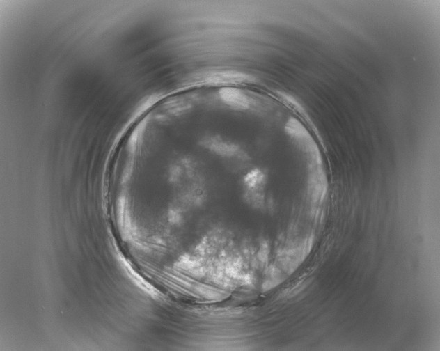 X0000078030851200611251553