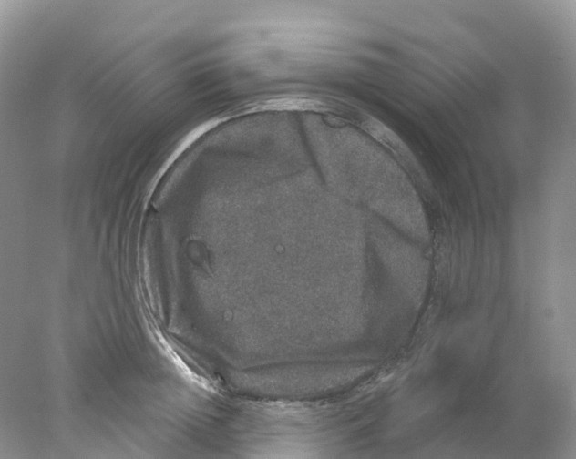 X0000078030852200611251553