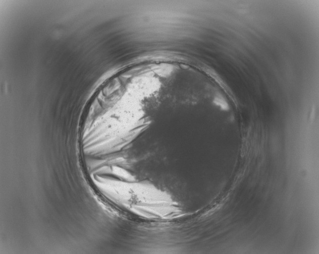 X0000078030853200611251554