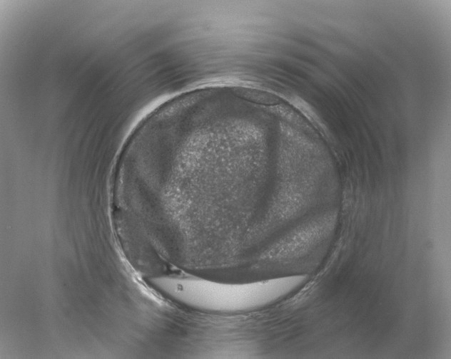 X0000078030854200611251554