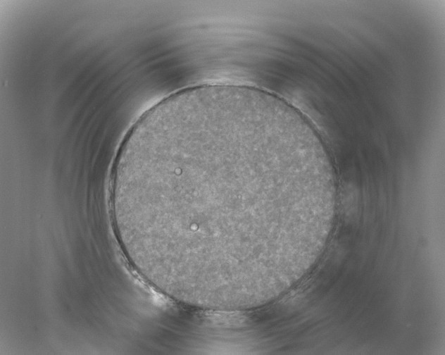 X0000078030856200611251554