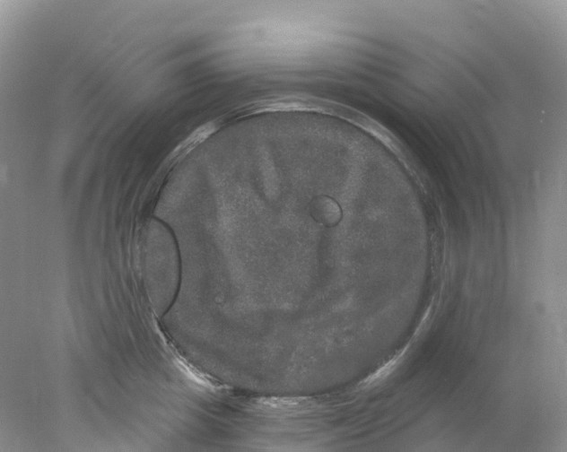 X0000078030857200611251554