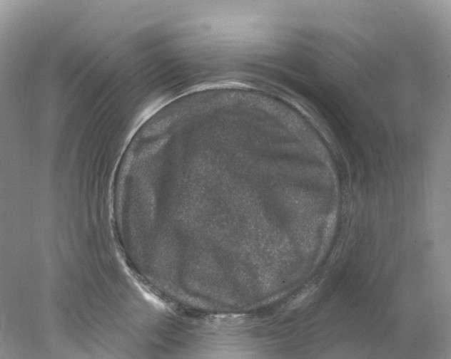 X0000078030858200611251554
