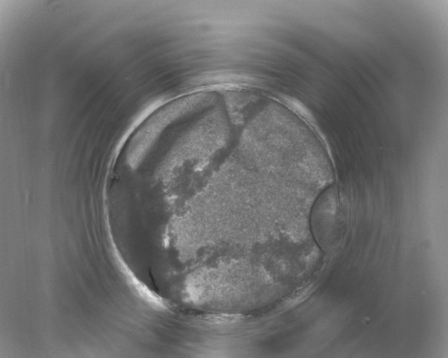 X0000078030859200611251554