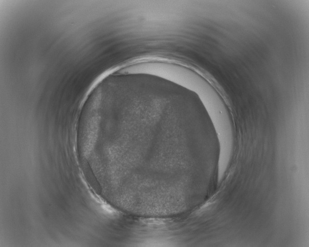 X0000078030862200611251554