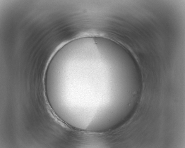 X0000078030864200611251554