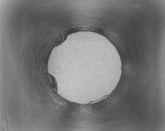 X0000078030865200611251553