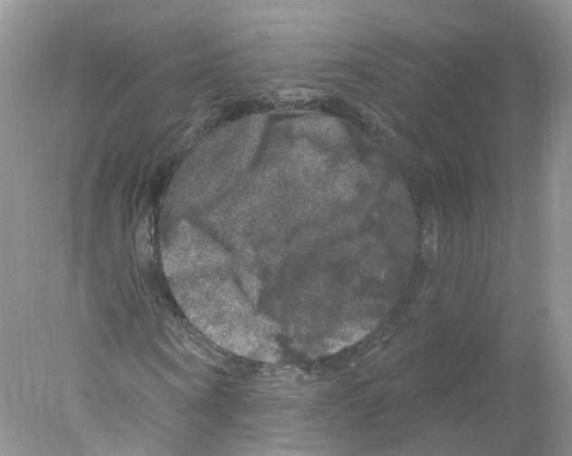 X0000078030866200611251553