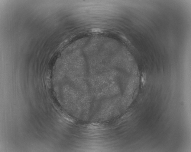 X0000078030867200611251553