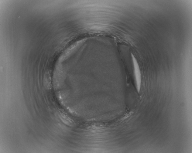 X0000078030868200611251553