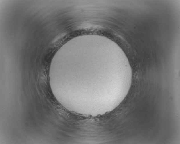 X0000078030869200611251553