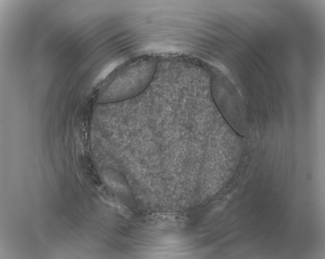 X0000078030871200611251553