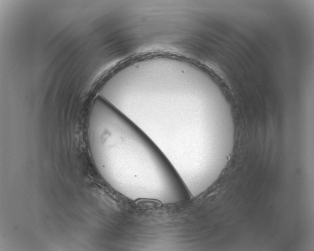 X0000078030872200611251553