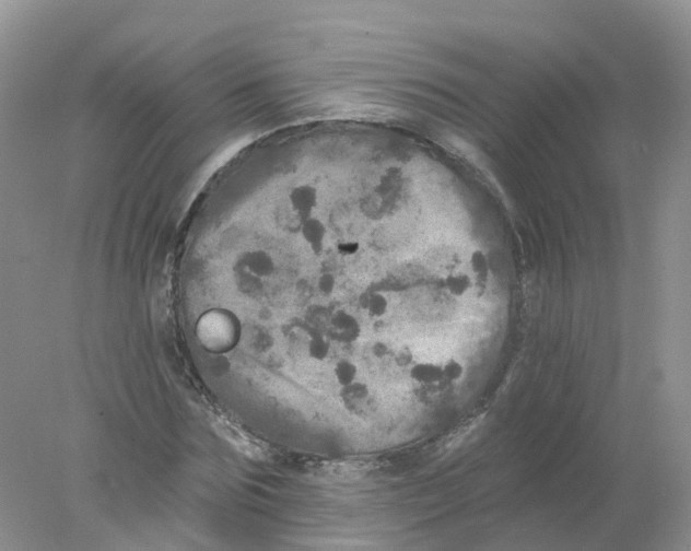 X0000078030875200611251553